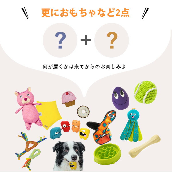ペット用品 お得な4点セット イヌ用 | ペットキャリー バック キャリーバッグ おしゃれ 軽い 小型犬 移動ケージ ペットハウス ラタンキャリー 犬_5