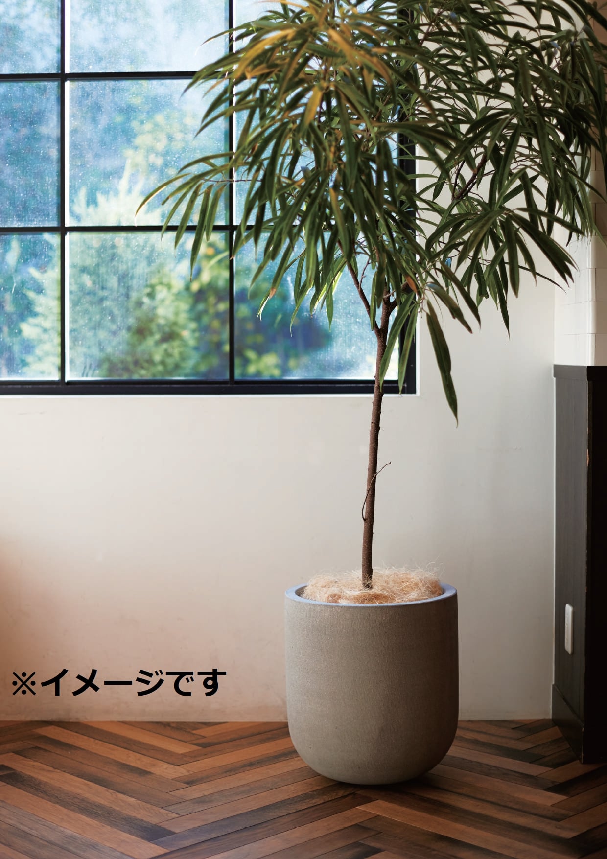 ガーデンポット L | ガーデンポット ポット 鉢 植木鉢 プランターカバー 植物 おしゃれ カフェ風 ガーデニング インテリア_1