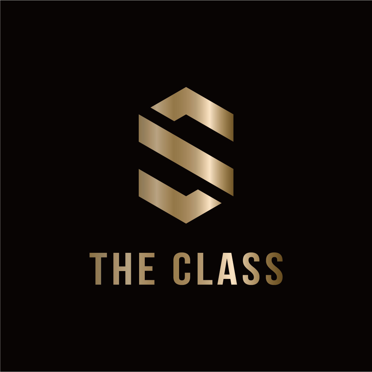 THE CLASS