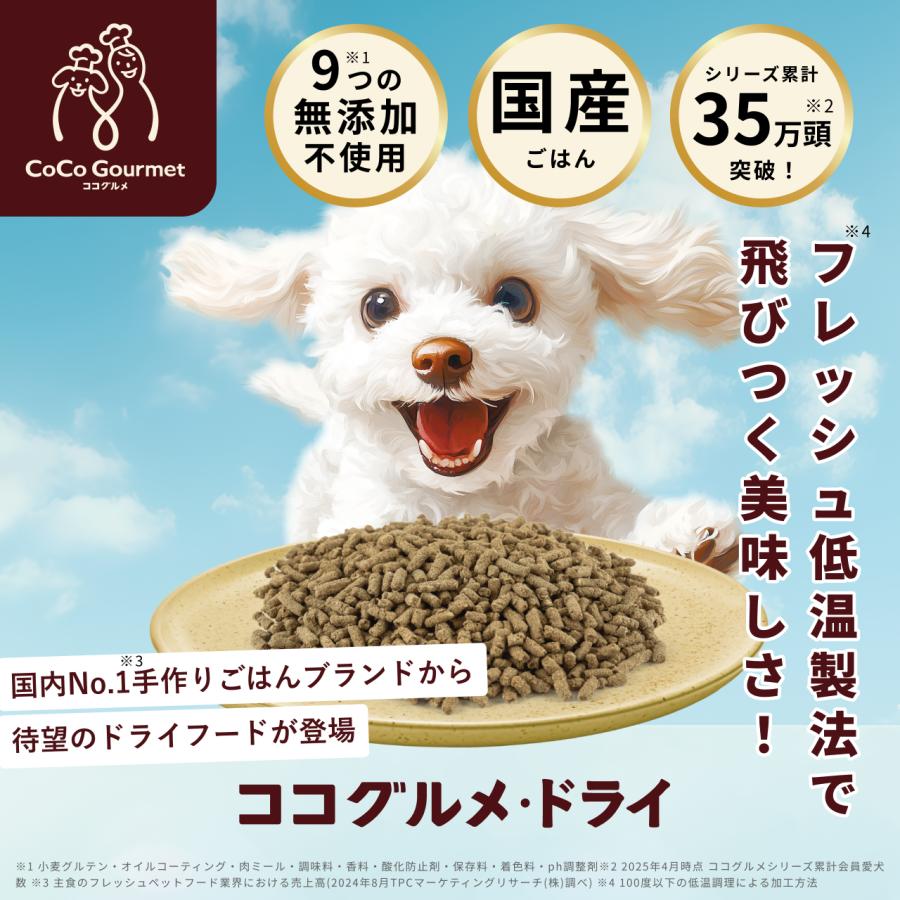 CoCo Gourmet 手づくりごはん 犬用 詰め合わせ 飛びつく美味しさ CoCo Gourmet 手づくりごはん 犬用 詰め合わせ 飛びつく美味しさ