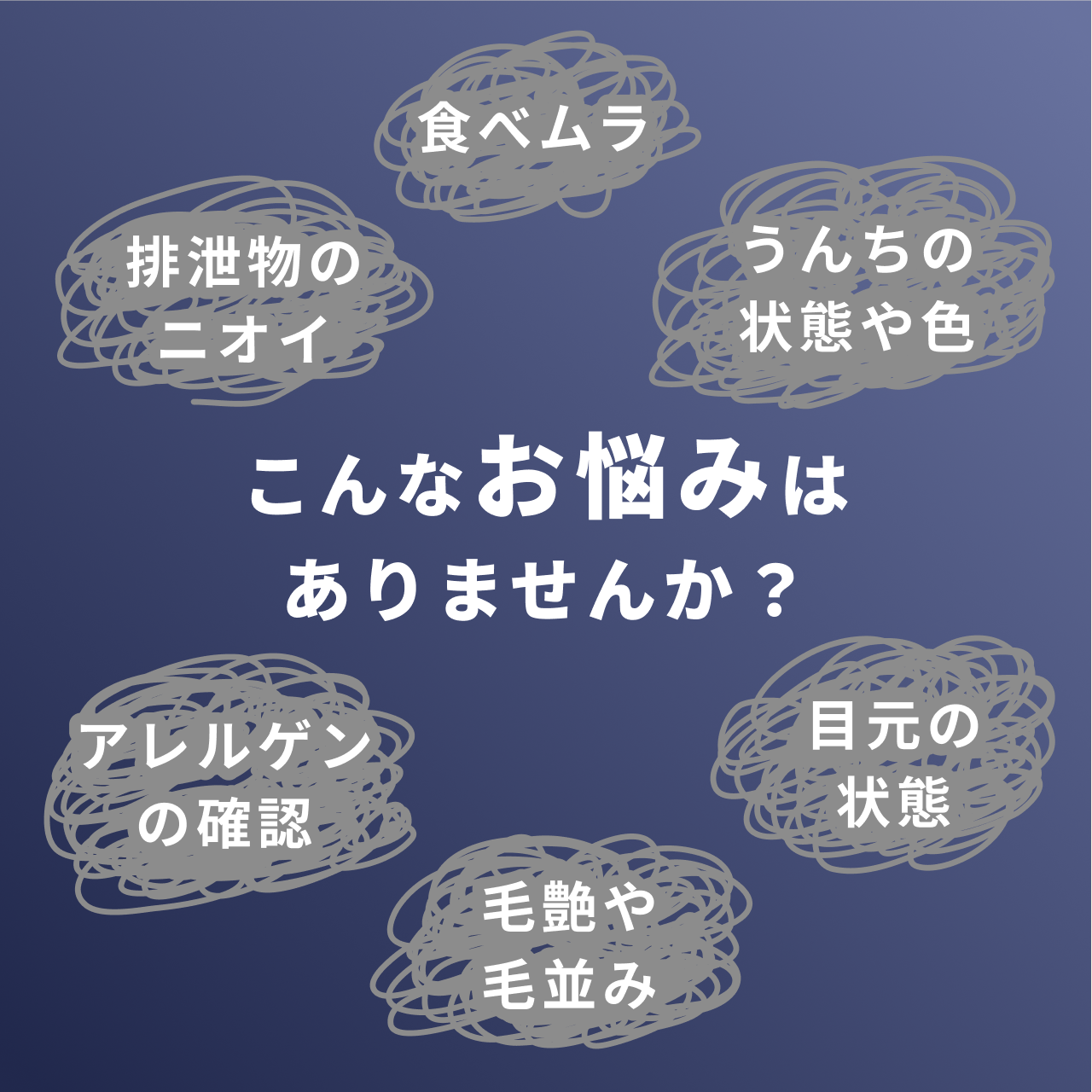ココグルメ・ドライ(850g×4個) CoCo Gourmet（ココグルメ） ココグルメ・ドライ(850g×4個) 獣医師監修