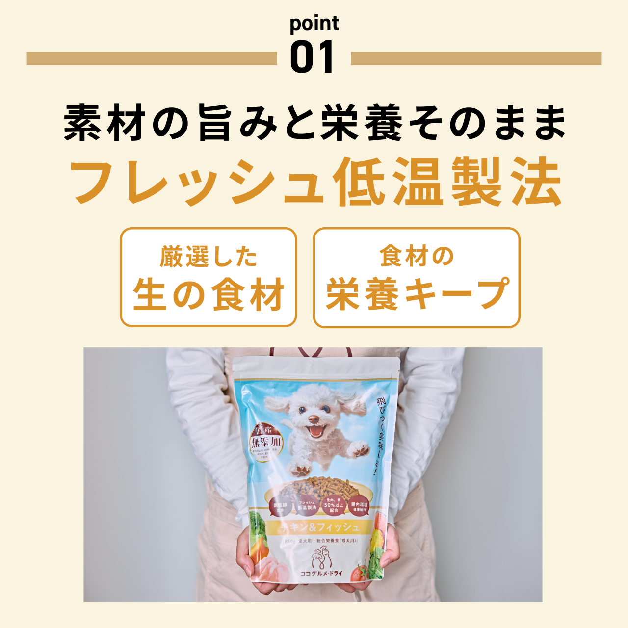 CoCo Gourmet（ココグルメ） ココグルメ・ドライ(850g×4個) 獣医師監修