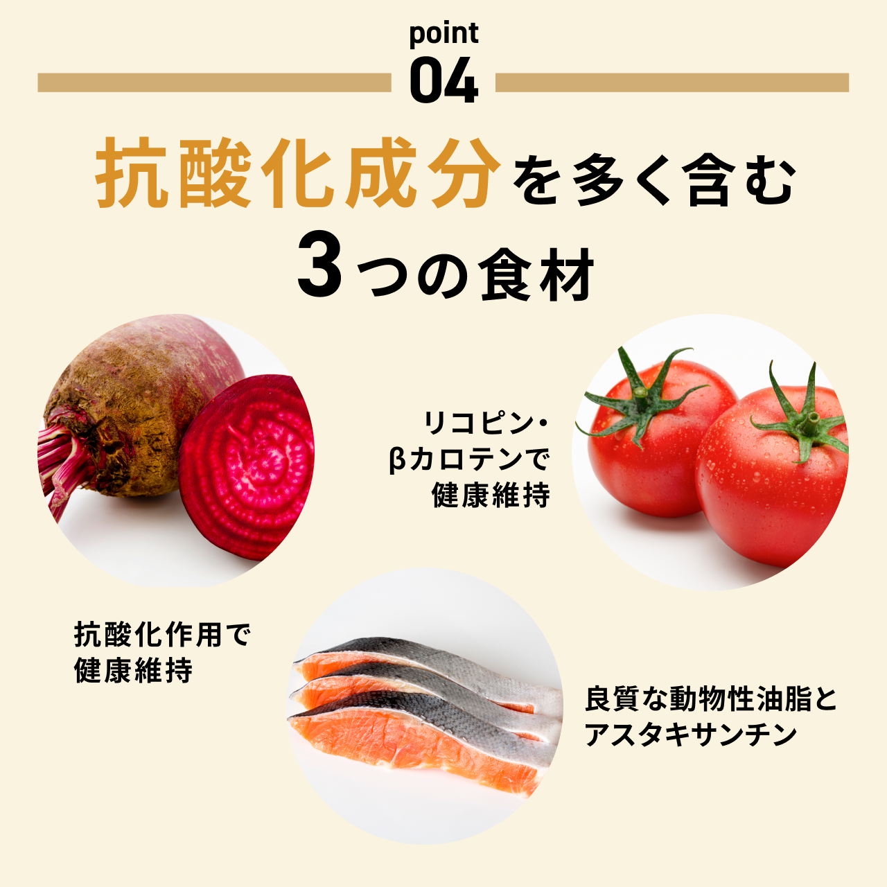 CoCo Gourmet（ココグルメ） ココグルメ・ドライ(850g×4個) 獣医師監修