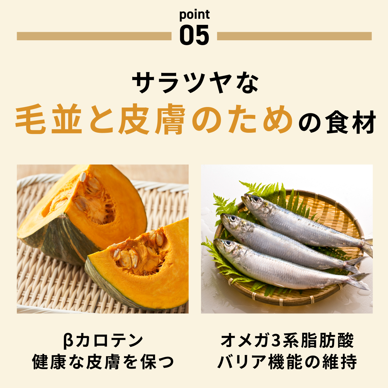 CoCo Gourmet（ココグルメ） ココグルメ・ドライ(850g×4個) 獣医師監修