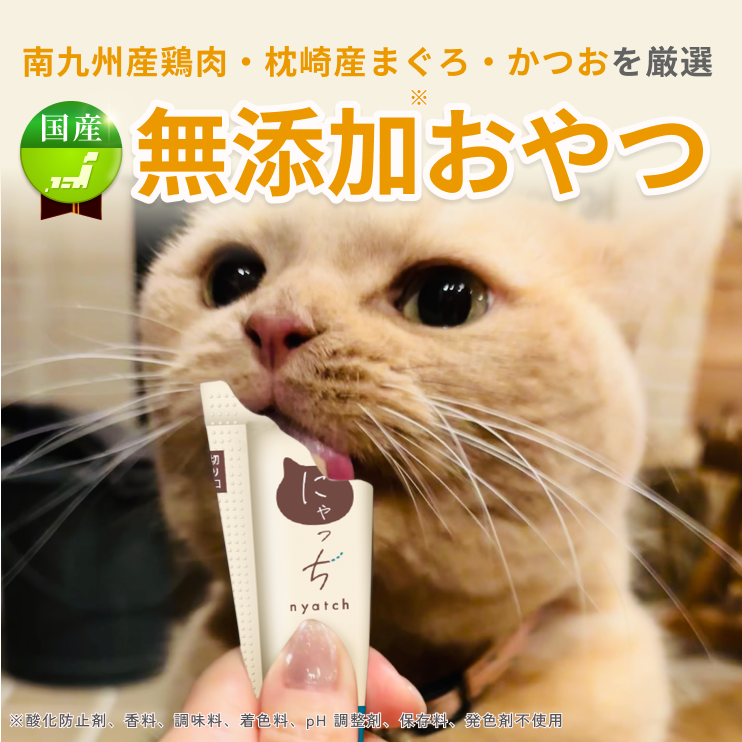 にゃっち 32本入 (10g×4本入×8袋) 国産 無添加 おやつ ペースト