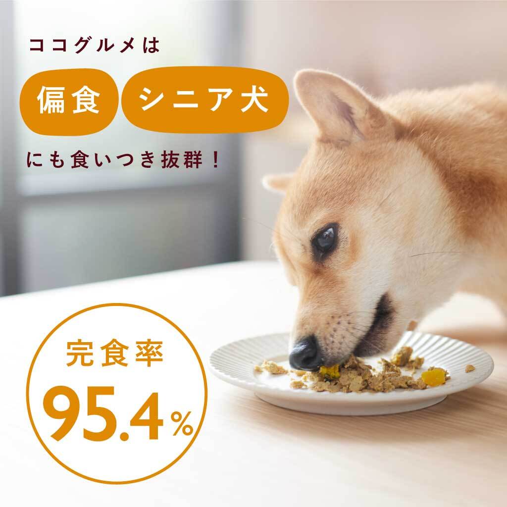 【3/10まで20%OFFクーポン】ココグルメ(100g×8個) 手作りドッグフード 国産 無添加 総合栄養食 ウェットフード ご飯 シニア犬