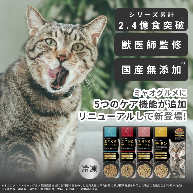 miaorn31.png