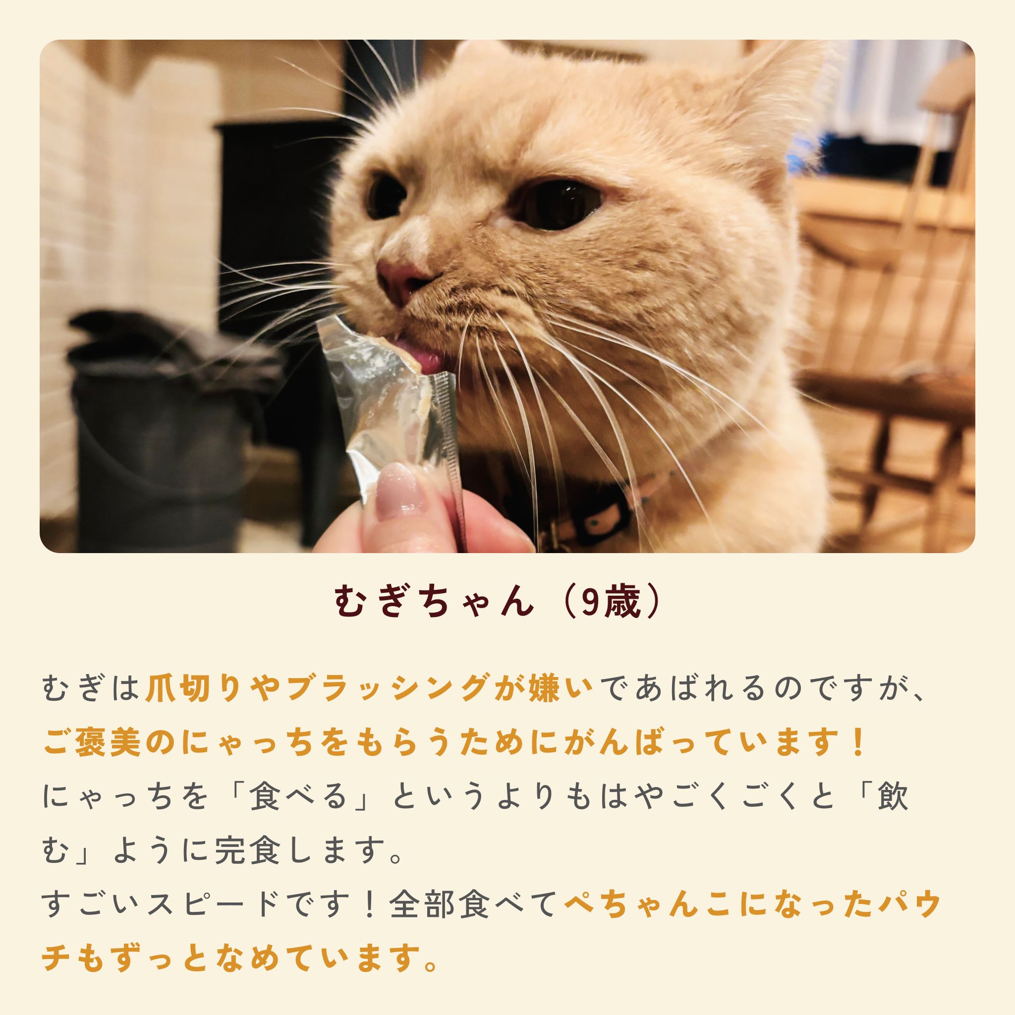 にゃっち 32本入 (10g×4本入×8袋) 国産 無添加 おやつ ペースト