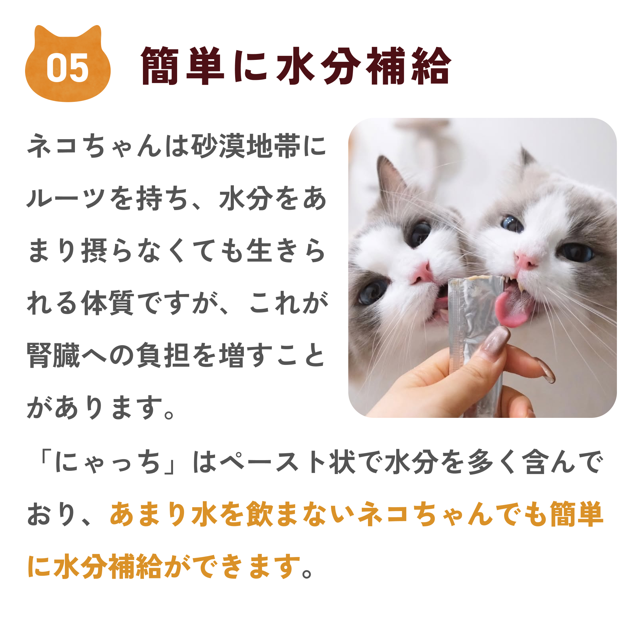 にゃっち 32本入 (10g×4本入×8袋) 国産 無添加 おやつ ペースト