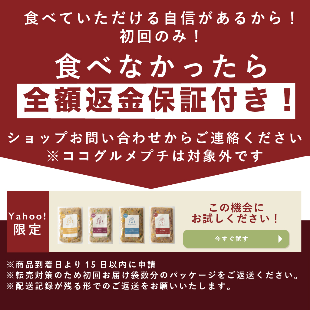 ココグルメお試し(100g×2個) 手作りドッグフード 国産 無添加 総合栄養食 ウェットフード ご飯 シニア犬