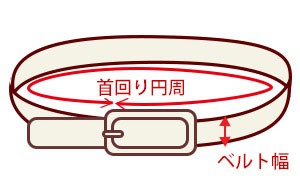 COACH コーチ ドッグカラー 首輪 小さいサイズ 犬用首輪 犬の