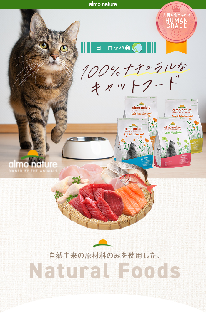アルモネイチャー ヘアボールコントロール ドライフード 成猫用