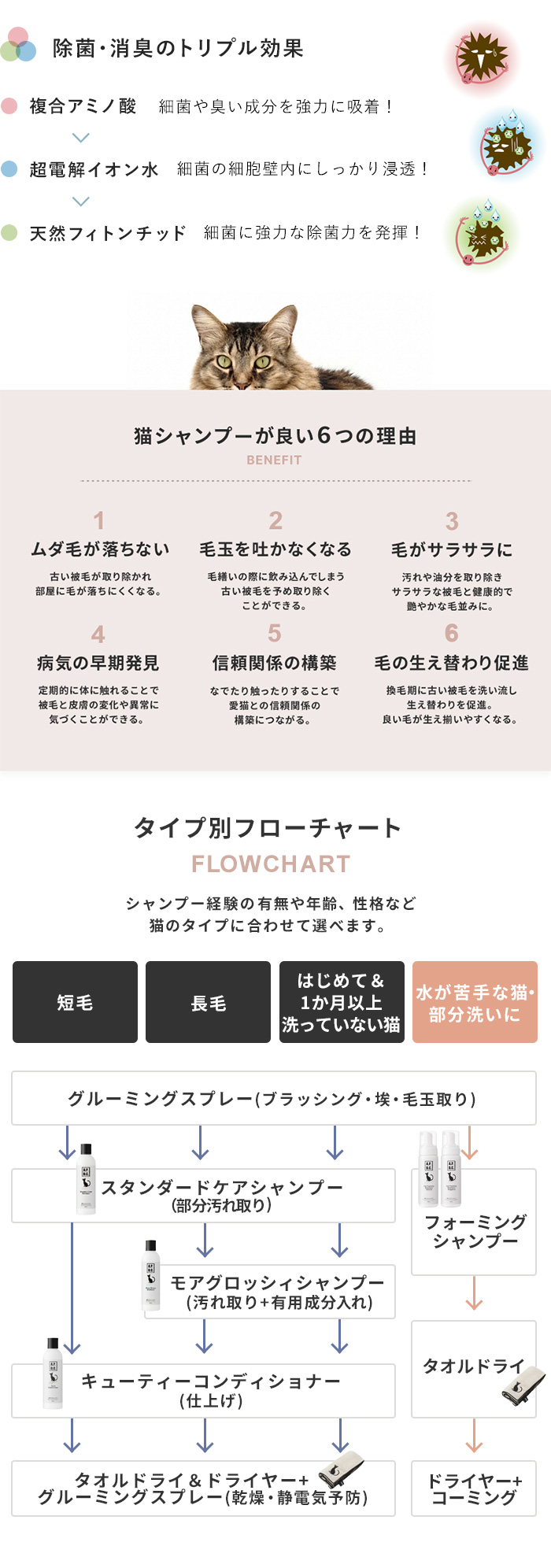 シャンプー & P-CHAN ストラップセット 約8cm プラスチック製 シャフト【8フライト】小野恵太モデル レギュラー フィックス