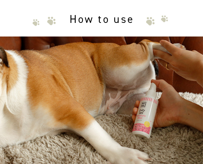 55％以上節約 APDC モイスチャーミスト 125ｍｌ 犬の保湿スプレー 即日発送対象