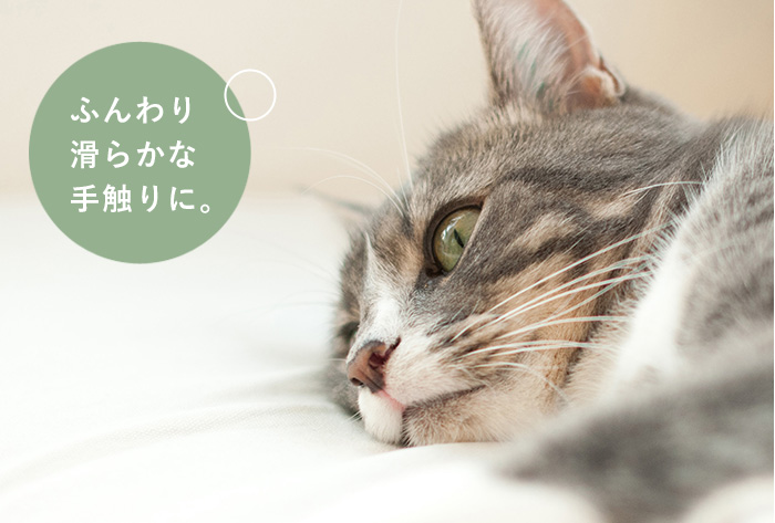 APDC たかくら新産業 A.P.D.C. 猫用 プロフェッショナル