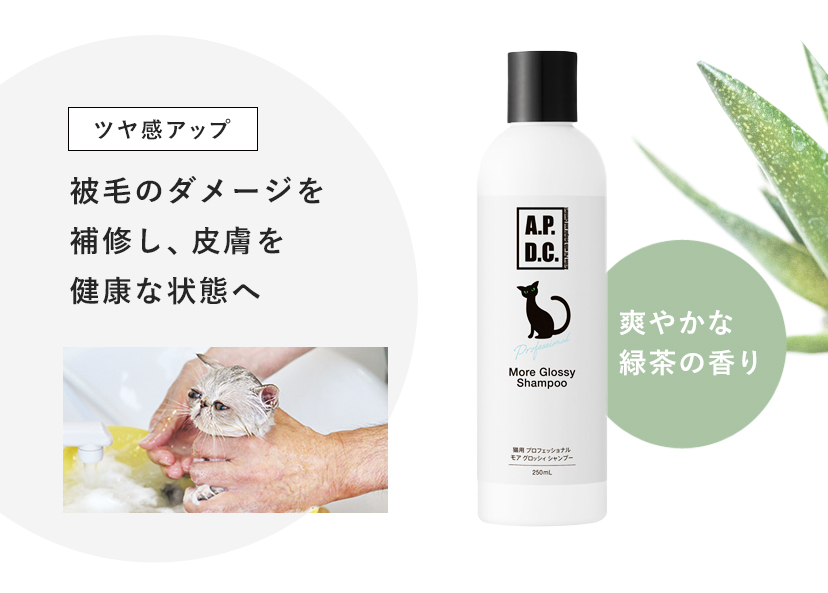 APDC たかくら新産業 A.P.D.C. 猫用 プロフェッショナル モアグロッシィシャンプー 250ml 2770153  :4528636805753:cocoatta - 通販 - Yahoo!ショッピング