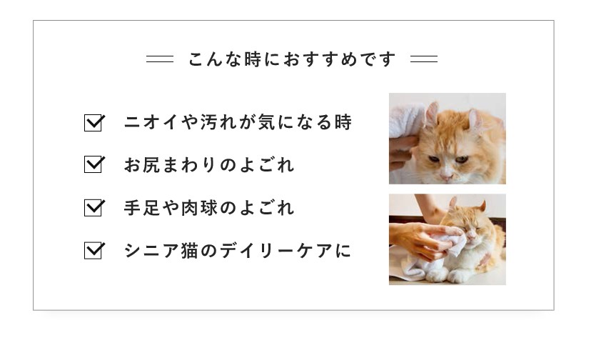 APDC たかくら新産業 A.P.D.C. 猫用 プロフェッショナル スタンダードケアシャンプー 250ml 2770155  :4528636805777:cocoatta - 通販 - Yahoo!ショッピング