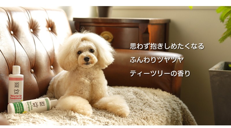 APDC ティーツリーシャンプー 犬用 500ml×2 2本セット A.P.D.C. たかくら新産業 犬用シャンプー☆★