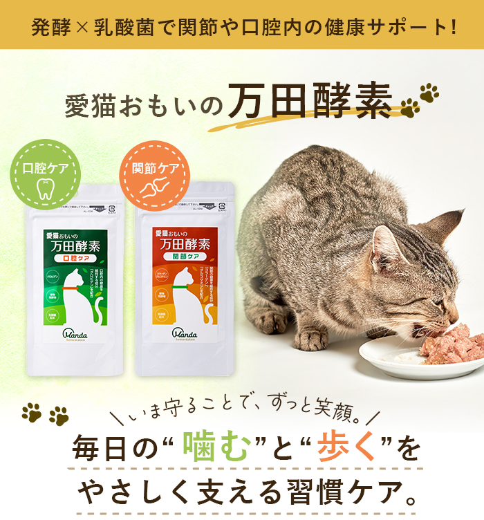 ポスト投函 万田発酵 愛猫おもいの 万田酵素 口腔ケア 50g : cocoatta