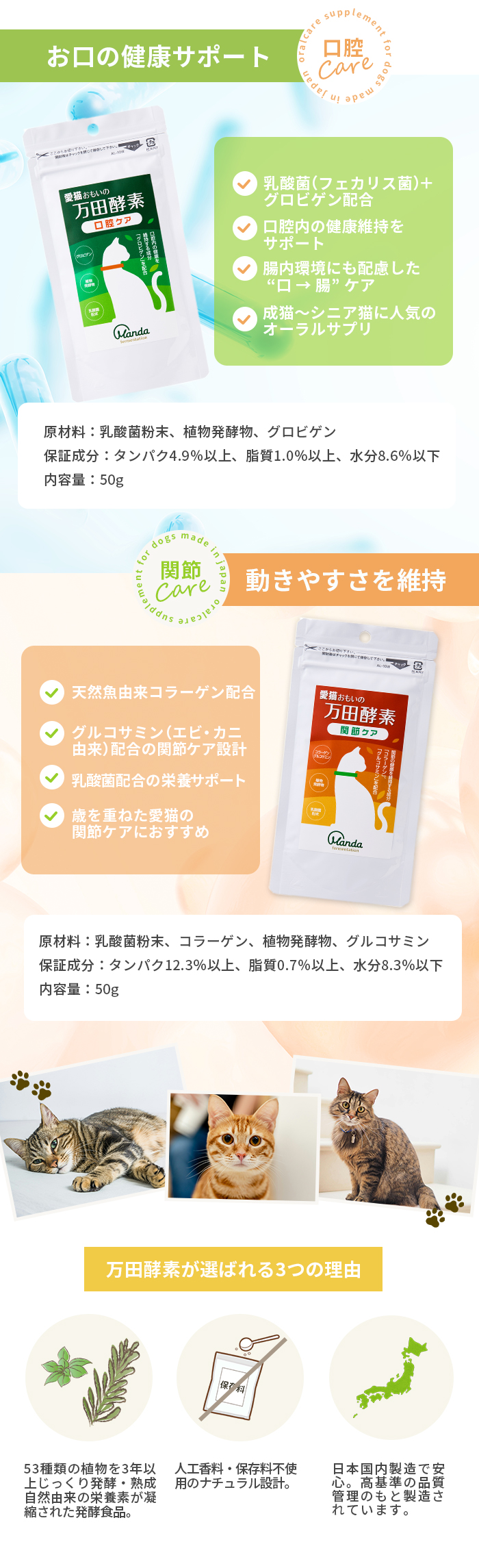 ポスト投函 万田発酵 愛猫おもいの 万田酵素 口腔ケア 50g : cocoatta