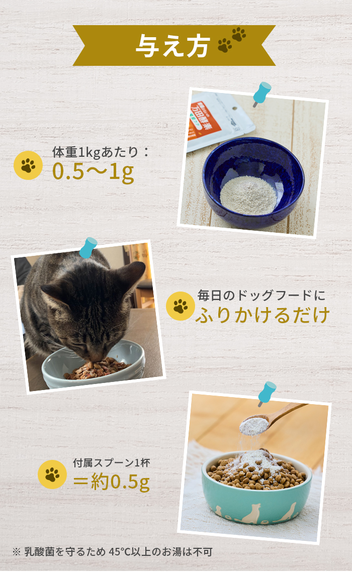 ポスト投函 万田発酵 愛猫おもいの 万田酵素 口腔ケア 50g : cocoatta