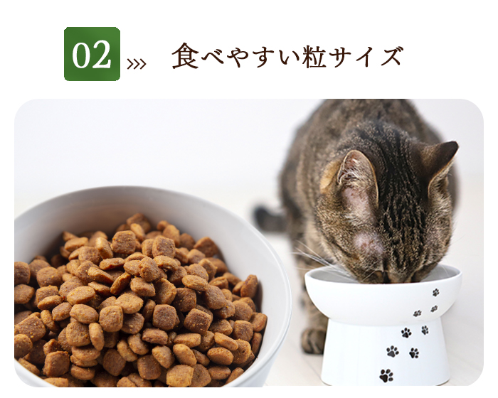 アルモネイチャー ホリスティック ドライフード 成猫用 フレッシュ