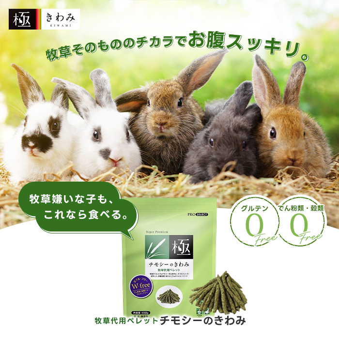 うさぎ 牧草 チモシー ハイペット チモシーのきわみ まとめ買い 400g 5