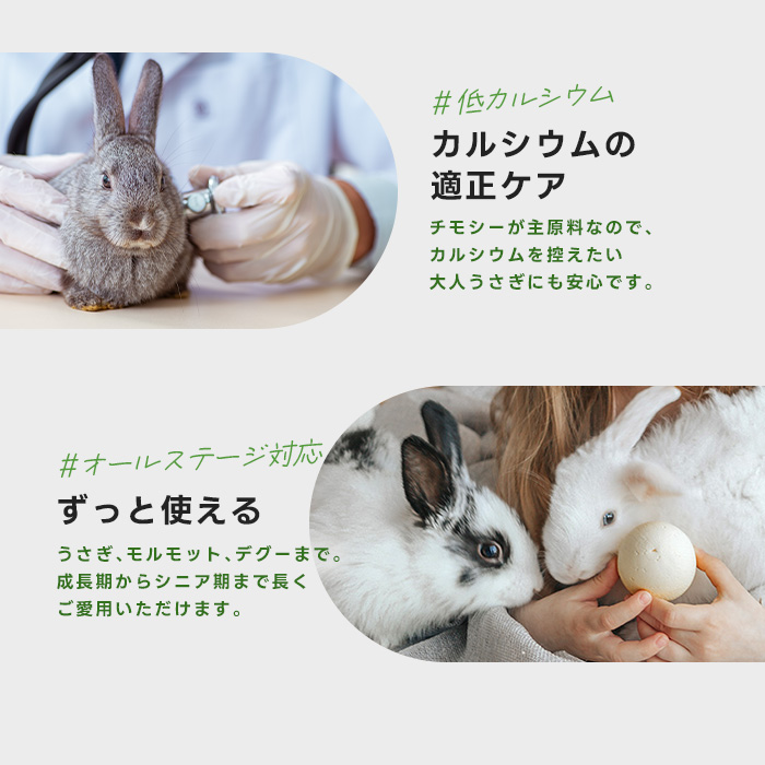 うさぎ 牧草 チモシー ハイペット チモシーのきわみ まとめ買い 400g 5