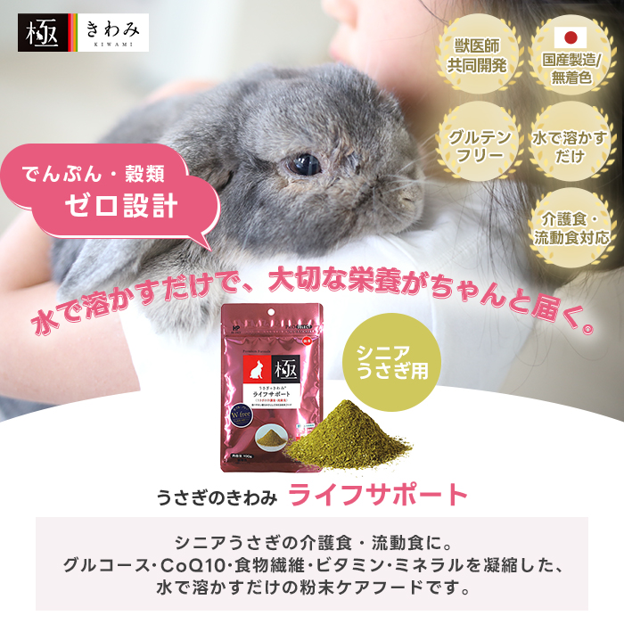 ハイペット うさぎのきわみ ライフサポート 100g うさぎ 介護食 流動食