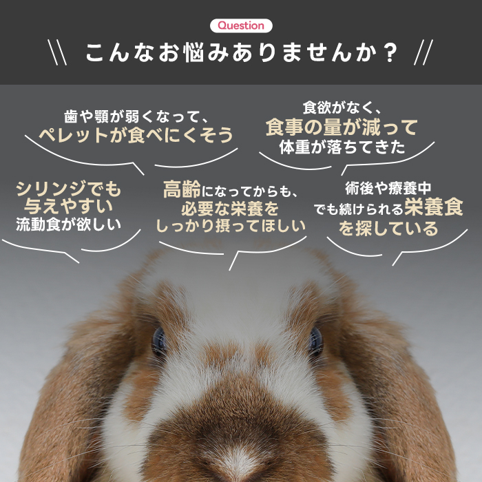 ハイペット うさぎのきわみ ライフサポート 100g うさぎ 介護食 流動食