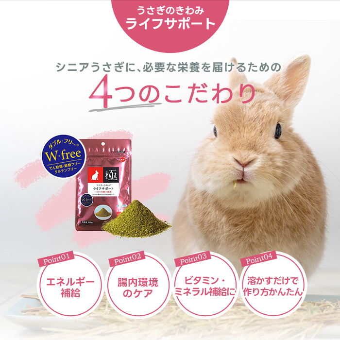 ハイペット うさぎのきわみ ライフサポート 100g うさぎ 介護食 流動食