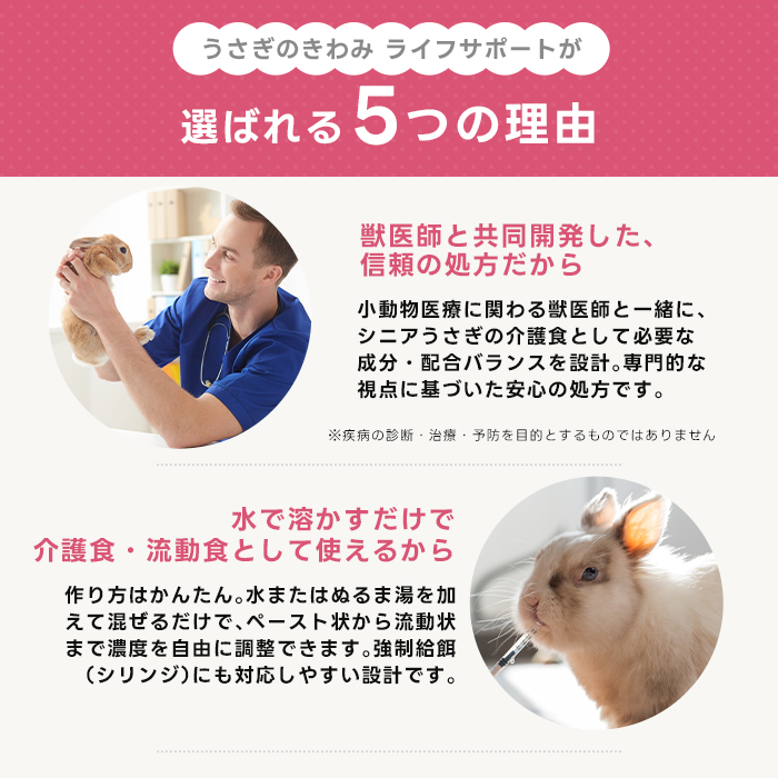 ハイペット うさぎのきわみ ライフサポート 100g うさぎ 介護食 流動食 ハイペット うさぎのきわみ ライフサポート 100g うさぎ 介護食 流動食