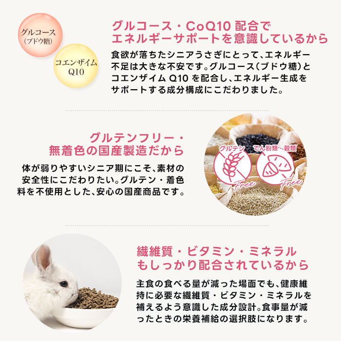 ハイペット うさぎのきわみ ライフサポート 100g うさぎ 介護食 流動食