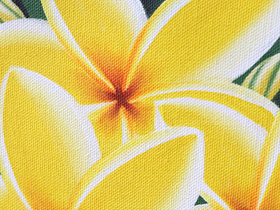 バリ　絵画　お花