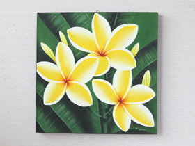 バリ絵画 プルメリア13(40×40cm)   花   壁掛け バリ風 インテリア バリアート ハワイ おしゃれ バリ雑貨 ココバリ |  | 02