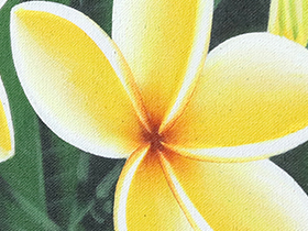 バリ絵画 プルメリア13(40×40cm)   花   壁掛け バリ風 インテリア バリアート ハワイ おしゃれ バリ雑貨 ココバリ |  | 04