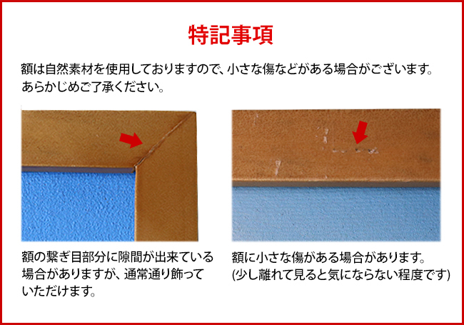 特記事項