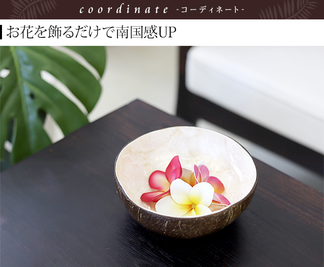 ココナッツのボウル　南国　ハワイアン
