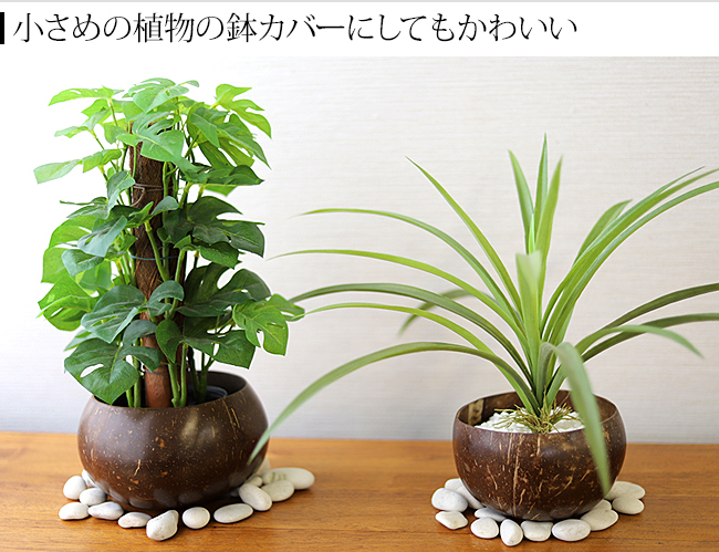 ココナッツのボウル アジアン雑貨 バリ小物入れ 収納 おしゃれ