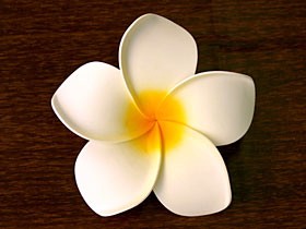 プルメリアの造花（15cm）