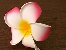 プルメリアの造花 特大15cm (リアル) (枝付き) 大きい ハワイ バリ雑貨