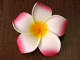 プルメリアの造花（15cm）ピンク