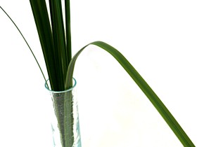 シングルリーフ(M)グリーン(12枚セット)   造花 インテリア 大きい アジアン バリ リアル 観葉植物 バリ風 インテリアグリーン バリ雑貨