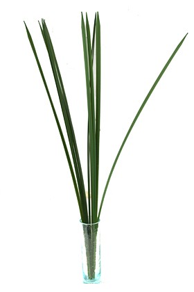 シングルリーフ(M)グリーン(12枚セット)   造花 インテリア 大きい アジアン バリ リアル 観葉植物 バリ風 インテリアグリーン バリ雑貨