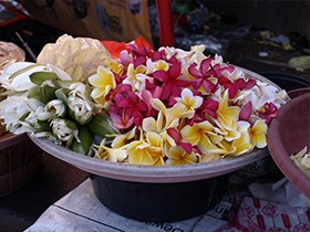 バリのお花屋さん