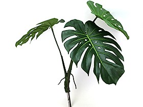 アートリーフ モンステラ