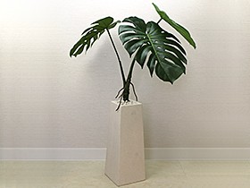 モンステラ バリ雑貨