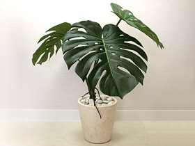 モンステラ株立ちタイプ(LL) 造花 インテリア フェイク グリーン 観葉