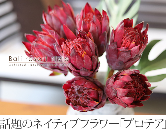 ネイティブフラワー「プロテア」の造花の販売(通販)