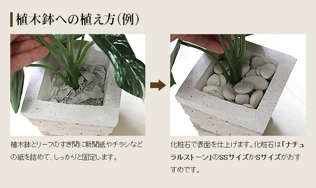 植木鉢への植え方